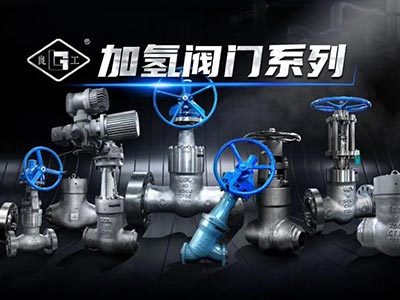 加氫閥門(mén)系列-助力工業(yè)能源向綠色低碳轉型發(fā)展